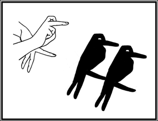 Bird-shadow-04.gif